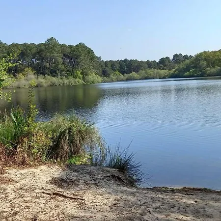 Feriehus With Terrace And Pool Near The Ocean *