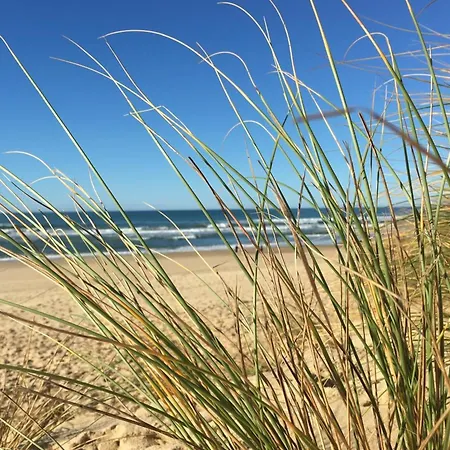 With Terrace And Pool Near The Ocean Feriehus Moliets-et-Maa